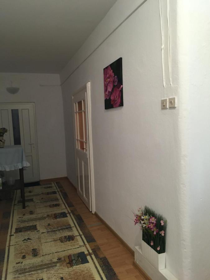 House Centrul Istoric Daire Sibiu Dış mekan fotoğraf
