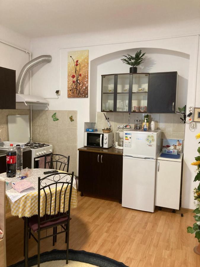 House Centrul Istoric Daire Sibiu Dış mekan fotoğraf