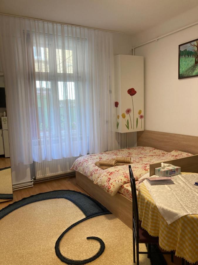 House Centrul Istoric Daire Sibiu Dış mekan fotoğraf
