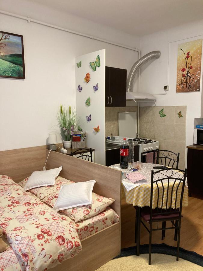 House Centrul Istoric Daire Sibiu Dış mekan fotoğraf