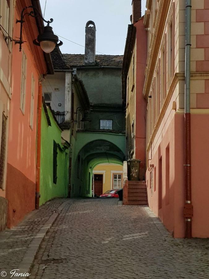 House Centrul Istoric Daire Sibiu Dış mekan fotoğraf