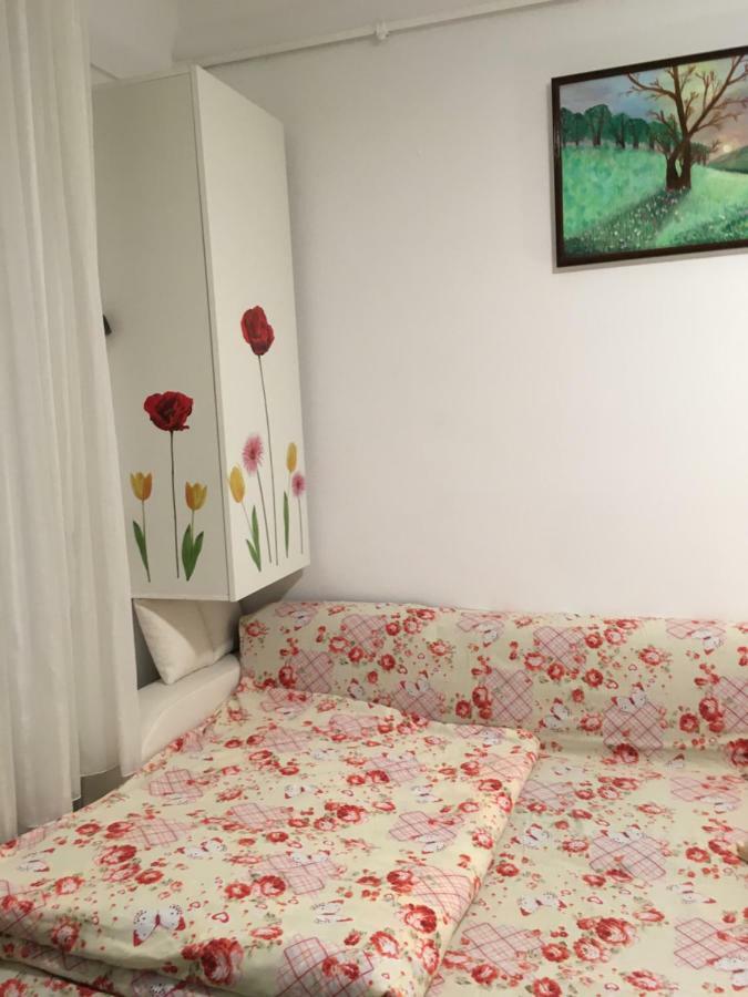 House Centrul Istoric Daire Sibiu Dış mekan fotoğraf