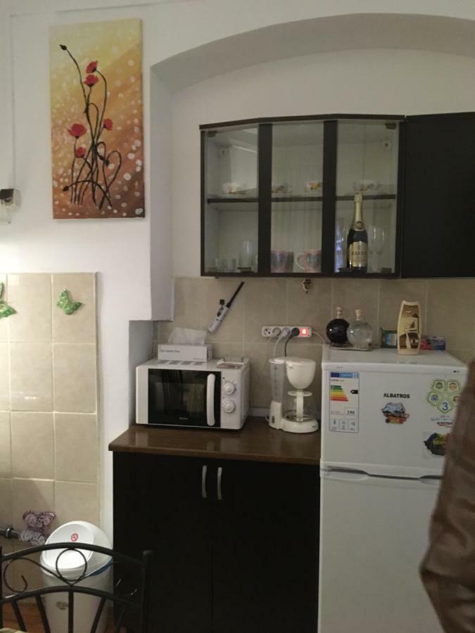 House Centrul Istoric Daire Sibiu Dış mekan fotoğraf