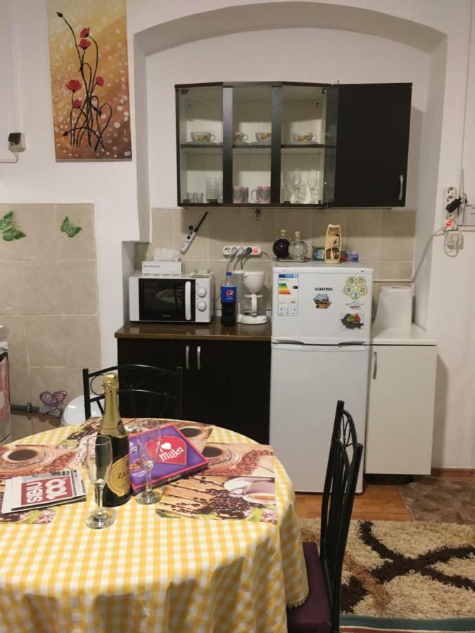 House Centrul Istoric Daire Sibiu Dış mekan fotoğraf